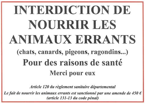 Interdiction De Nourrir Les Animaux Errants