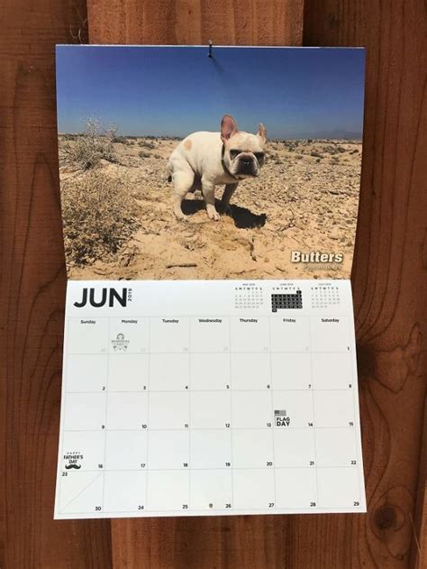 Le calendrier des chiens qui font caca 2019 est arrivé et cest le