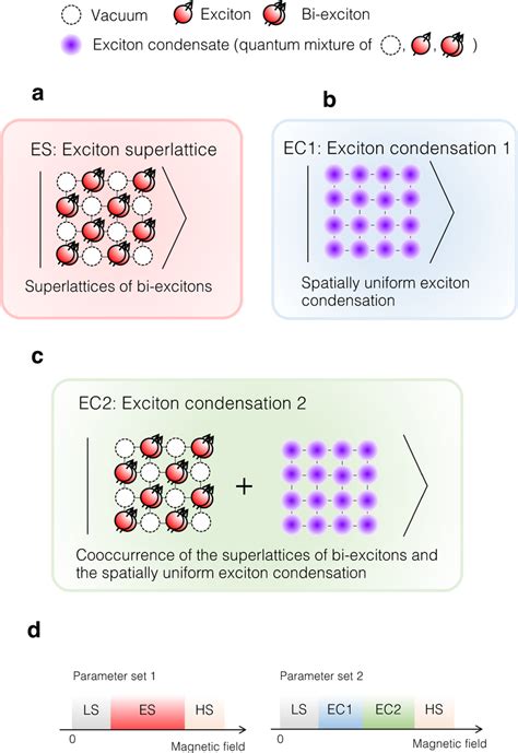 Schematic Illustrations Of Calculated Excitonic Phases A Exciton