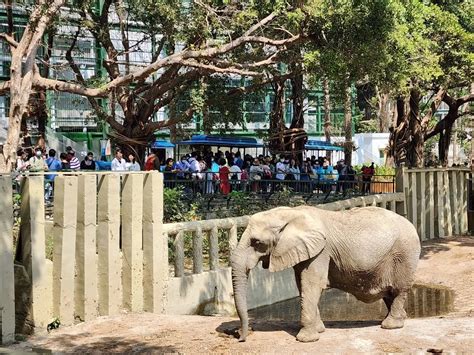 壽山動物園動物明星票選起跑 暑假全國12歲以下免費入園