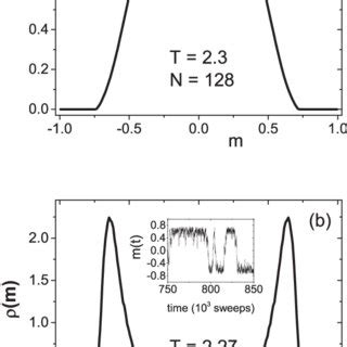 The Magnetization Density Distribution In 2D Ising Square Lattice With