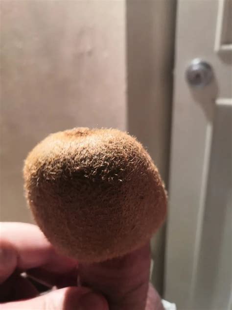 Kiwi Photo Album Nude Pics XHamster