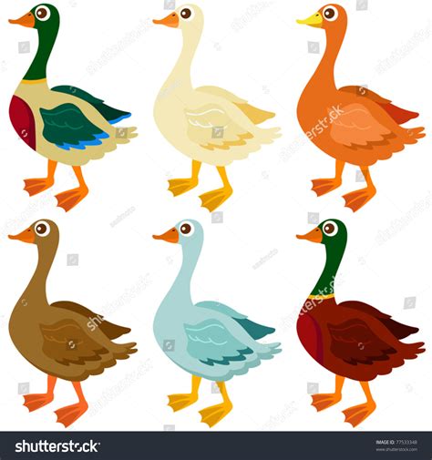 Cartoon Vector Ducks Goose Geese Set Stock Vector Royalty Free 77533348 Shutterstock