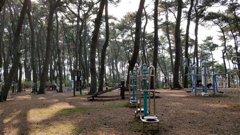 Daewangam Park : Ulsan | Visions of Travel