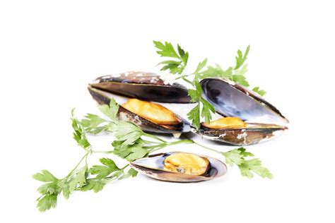 Mejillones Al Vapor Con Perejil Sobre Fondo Blanco Alimento Saludable