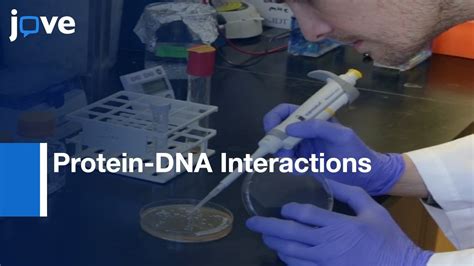 Genome Wide Mapping Of Protein DNA Interactions With ChEC Seq