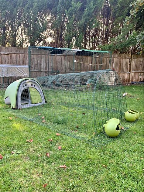 Modern Omlet Eglu Chicken Coops Ranked Reviewed For