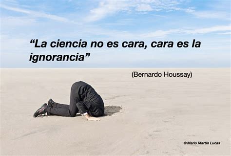 La Ignorancia Es Cara Tras La Mascara