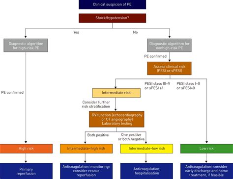 Pulmonary Embolism Treatment Algorithm