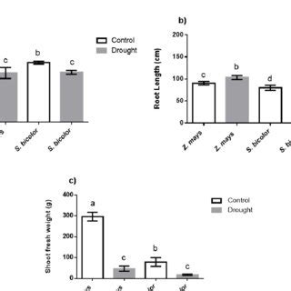 The Effect Of Drought Stress On Shoot Length A Root Length B And