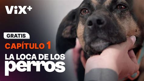 La Loca De Los Perros Cap Tulo Gratis Vix Youtube