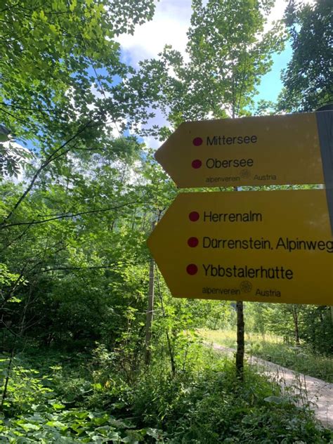 Der Sommer Kehrt Zur Ck Wanderung Zum Mittersee Der Lunz Blog