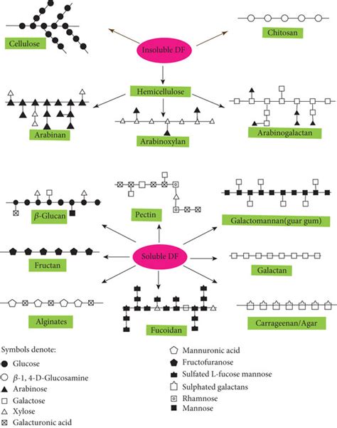 Structures And Classifications Of Typical Dietary Fibers Download