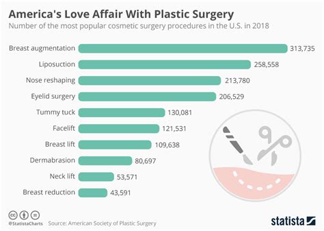 Plastic Surgery Surgical Technology Research Guides At Hudson