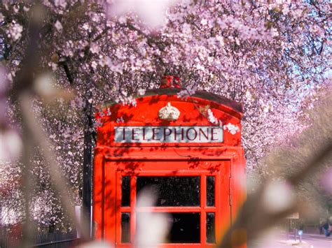 Primavera Em Londres Coisas Inesquec Veis Para Fazer Nesta Esta O