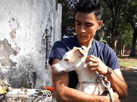 Rescatan A Perrito Que Cayó En Pozo En Colonia De Veracruz