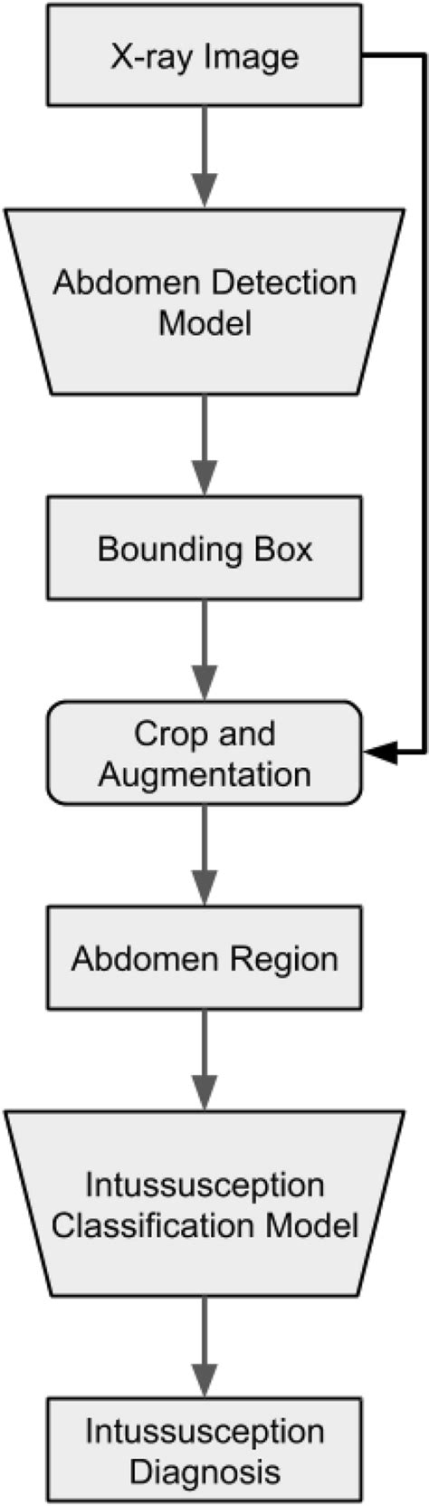 Intussusception Screening System Architecture The Proposed