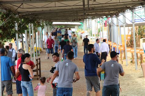 Campus Concórdia sedia 15ª edição da Tecnoeste Universo IFC