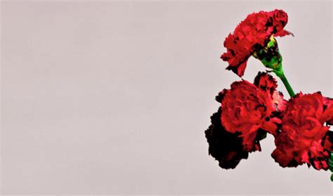 John Legend Reveals ‘Love in the Future’ Album Cover, Tracklisting ...