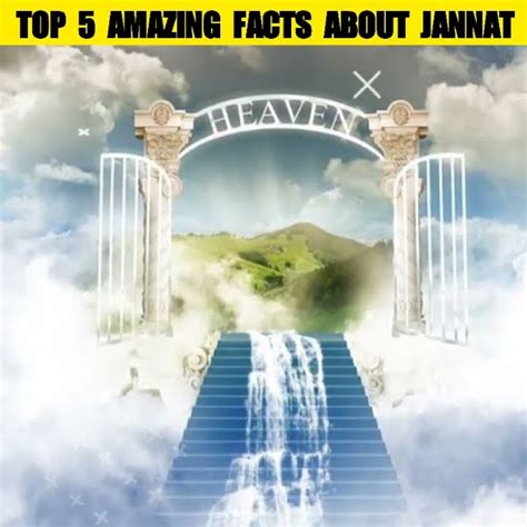 Jannat Kahan Hai Top 5 Amazing Facts About Jannat Shorts