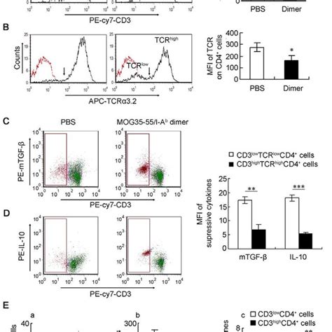 MOG35 55 Immunized Mice Were Treated With PBS Excess MOG35 55 Peptide