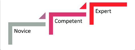 showing  step  process   dimensions  scientific