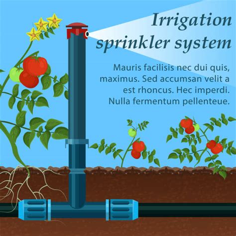 Drip Irrigation Cartoon Illustrations, Royalty-Free Vector Graphics ...