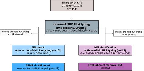 Frontiers Extended Genomic Hla Typing Identifies Previously