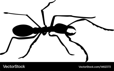 Ant silhouette Royalty Free Vector Image - VectorStock