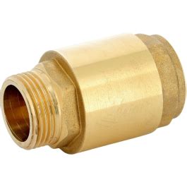 Spring Check Valve With Nylon Clack Male Female Syveco