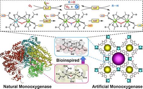 双核铈基金属有机骨架作为人工单加氧酶用于饱和烃好氧氧化的高效率和高选择性 Acs Catalysis X Mol