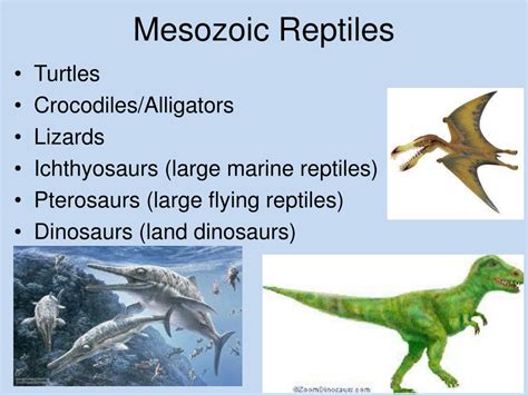 Ppt The Mesozoic Era Powerpoint Presentation Free Download Id2366664