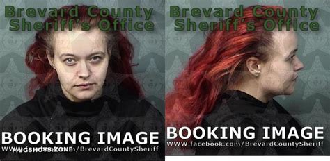 WILLOUGHBY KRISTEN RENEE 02 09 2024 Brevard County Mugshots Zone