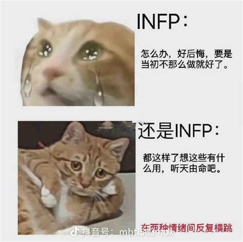 Infp的小夥伴 Mbti板 Dcard