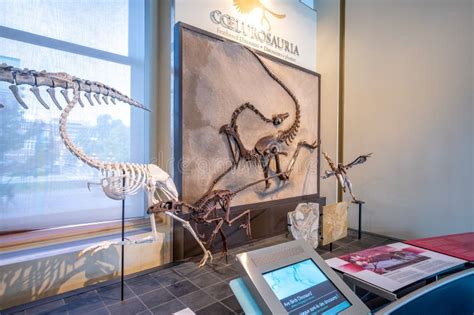 Canadian Museum Of Nature Ottawa Editorial Photo Image Of National