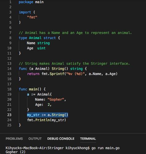 Understanding Golang Struct Constructor A Comprehensive Guide