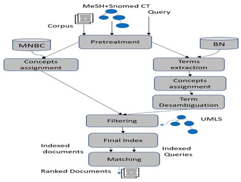 Information Free Full Text Improving Semantic Information Retrieval Using Multinomial Naive