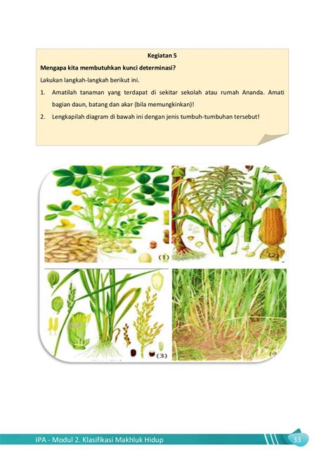 Ipa Modul Klasifikasi Makhluk Hidup Zahranoorayuna Halaman
