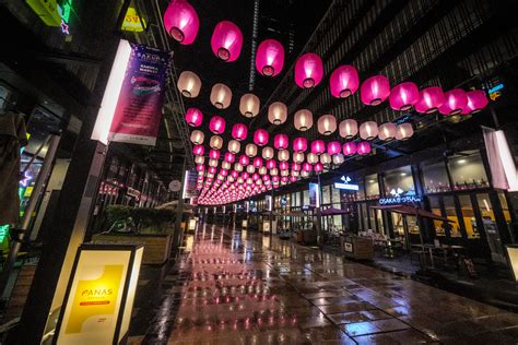 LALAPORT HOSTS FIRST IMMERSIVE SAKURA DISPLAY Kr8tif Express