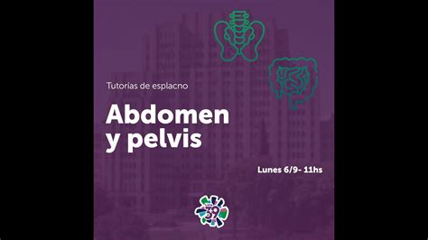 Tutor As De Anatomia Esplacnolog A D A Abdomen Y Pelvis Youtube