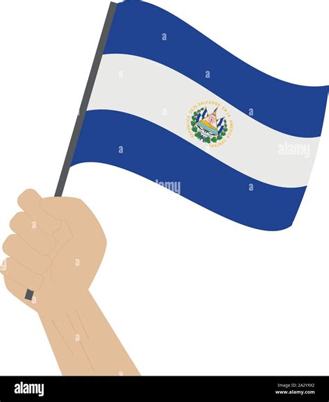 Hombre que sostiene la bandera de el salvador Imágenes vectoriales de ...