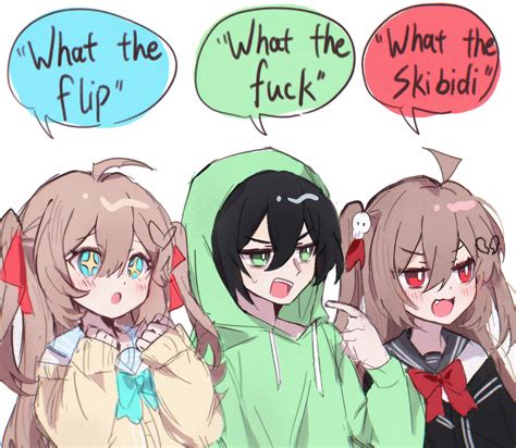 What The Flip What The Fuck What The Skibidi Meme Danbooru