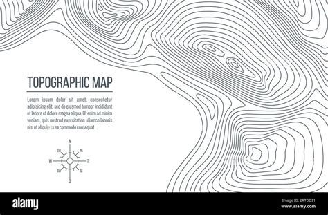 Topographic Map Grid Relief Contour Lines Of Abstract Terrain Vector