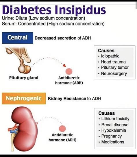 Dm Insipidus Diabetes Insipidus Nursing Mnemonics Endocrine System Nursing