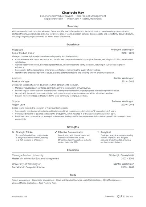 5 Product Owner Resume Examples And Guide For 2024