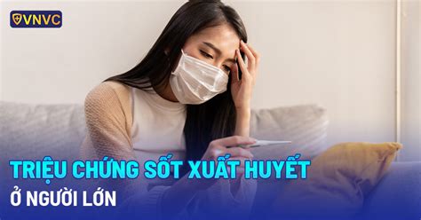 Các dấu hiệu của bệnh sốt xuất huyết ở người lớn bạn nên biết