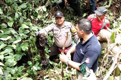 Setahun Hilang Jasad Nenek Ditemukan Tinggal Tengkorak Di Hutan Jawa Pos