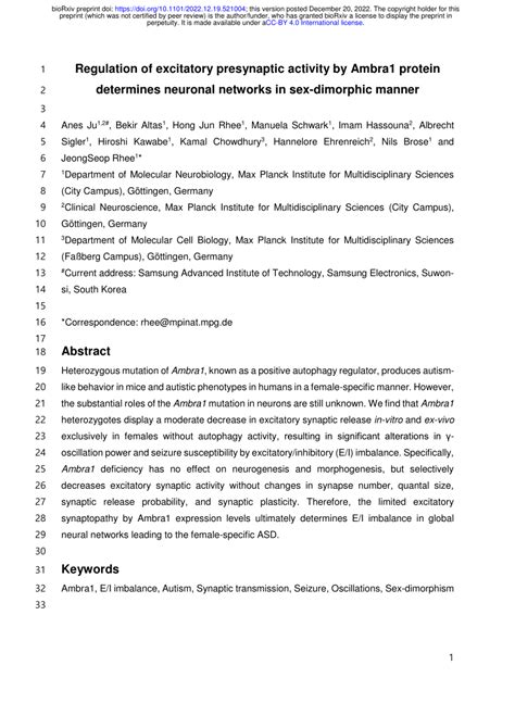 Pdf Regulation Of Excitatory Presynaptic Activity By Ambra1 Protein