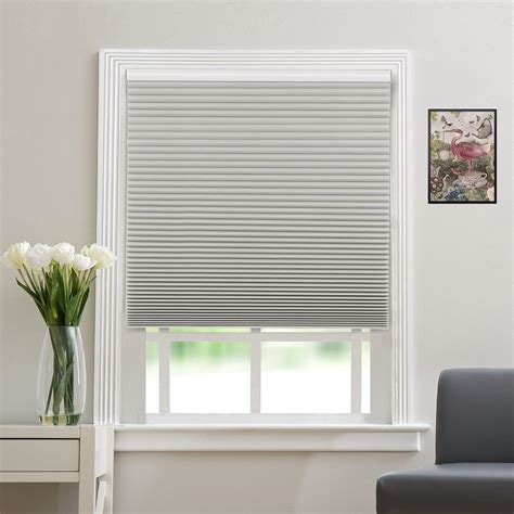 Amazon.com: Blackout Window Shades Cordless Cellular Blinds for Window ...