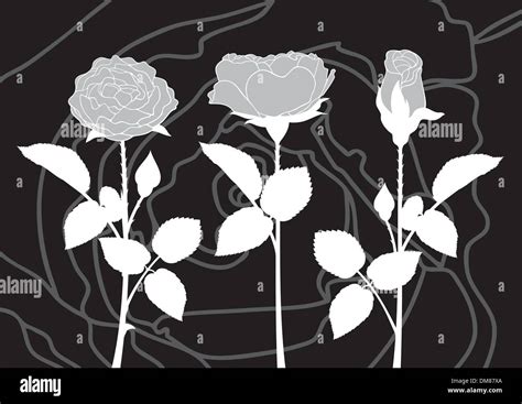 Roses Stock Vector Images Alamy